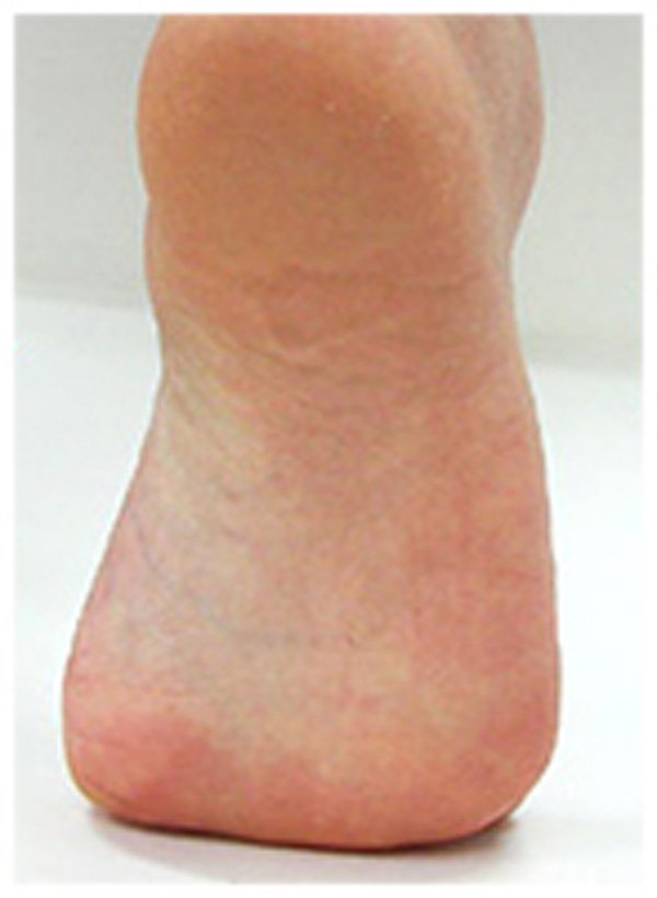 Calla-Find Moisturising Foot Mask Foot Renewal Mask From Calla-5