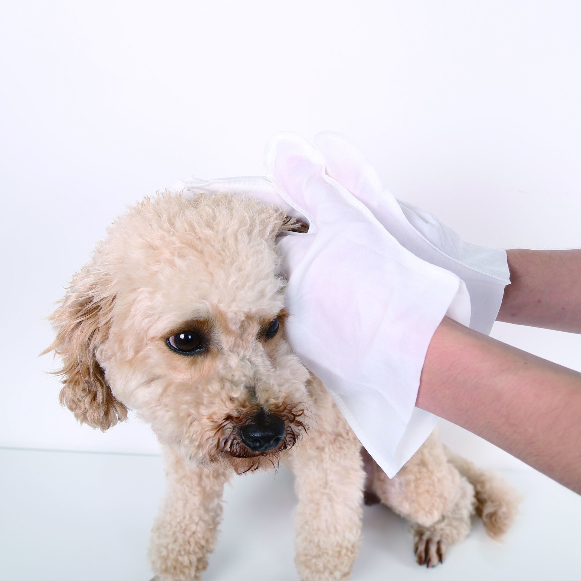Hot Sale wash-free non woven household clean non irritating five finger dog cat wet wipes pet gloves
