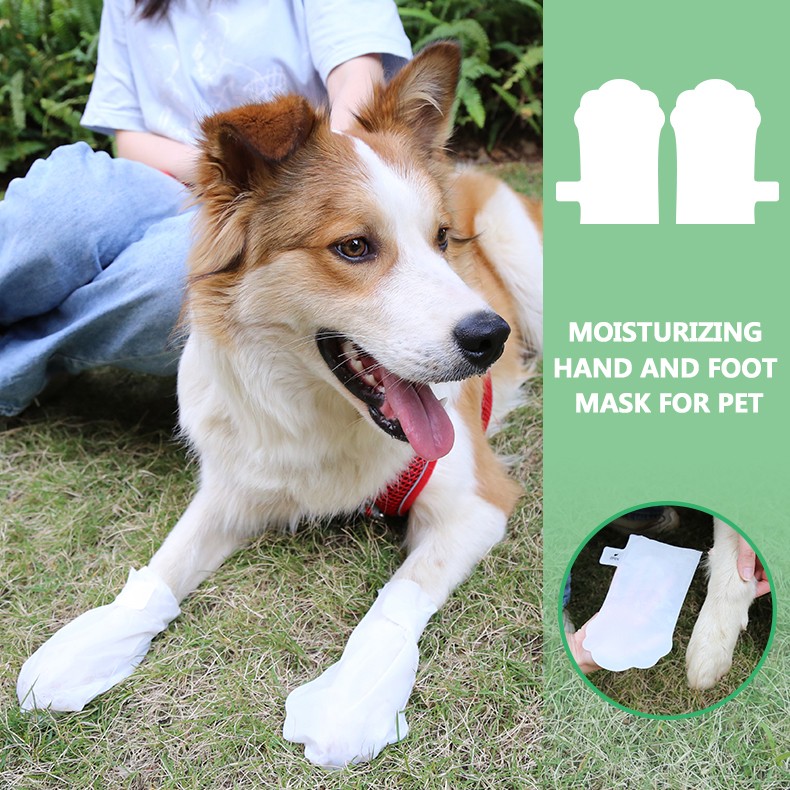 product-Calla-Dog Cat Pet Sock Friendly High Absorbing Disposable Safy White Cleanse Hand Foot Nouri