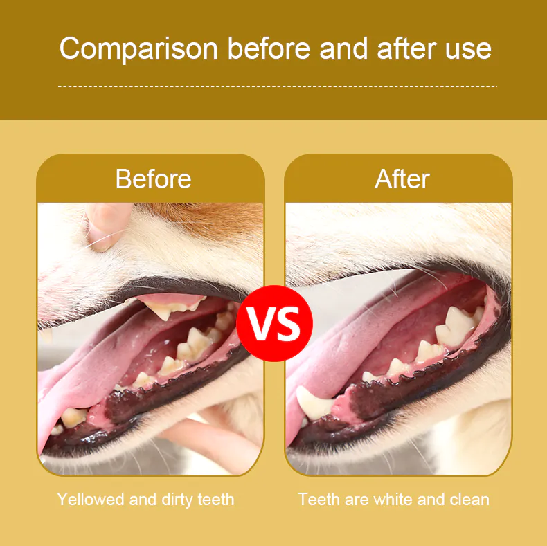 Say Goodbye to Plaque: Revolutionize Pet Oral Care with Dental Finger Brushes